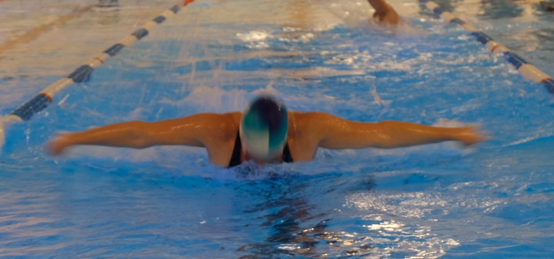 Vlinder Rienke